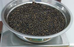 Black pepper high quality (500GL)